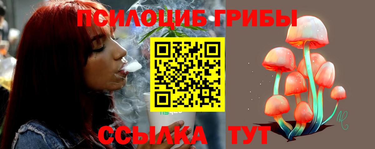 Псилоцибиновые грибы мухоморы  Вход с VPN  что такое наркотик  Галлюциногенные грибы Psilocybe  Татарск 